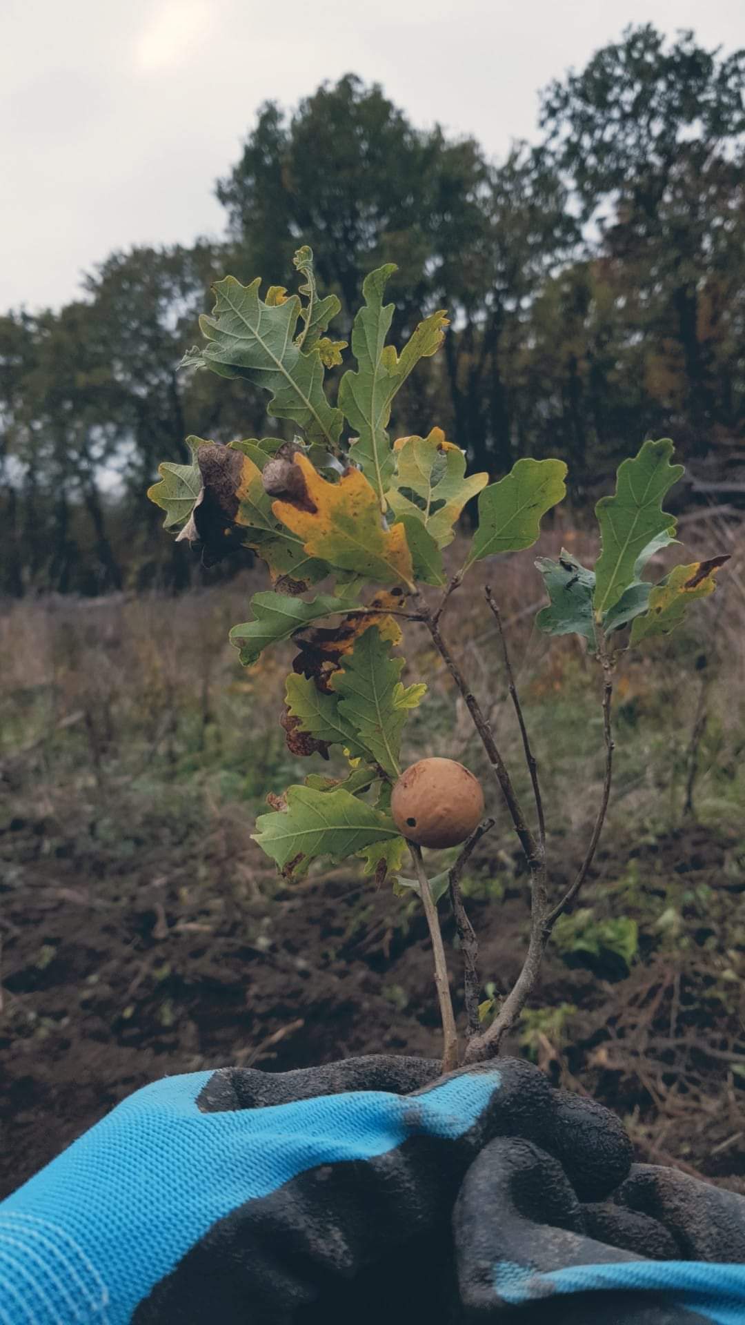 1525ec6b-f5b7-4a6d-97bb-23c1824d19cb